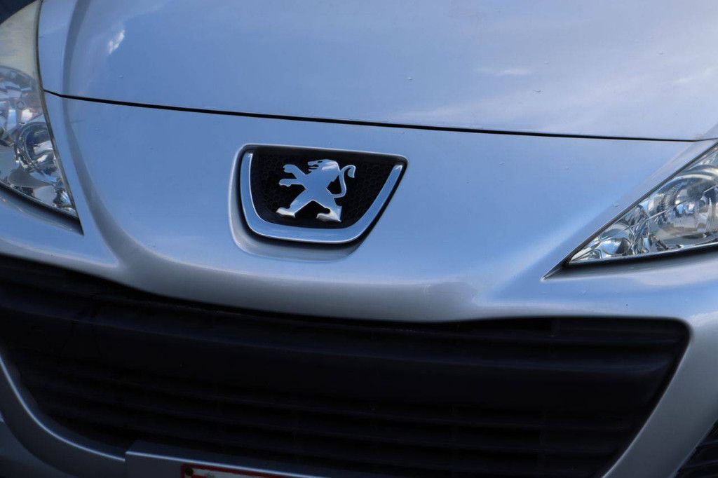 Pkw Peugeot 207 Benzin 73 PS 2009 (Margin)