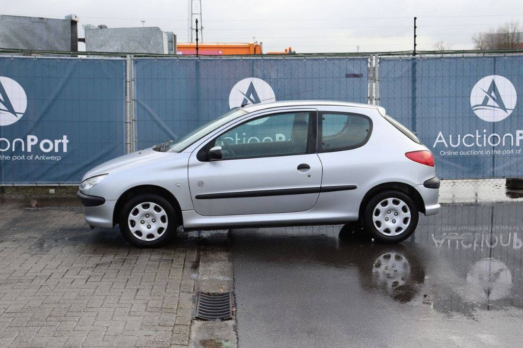 Passenger car Peugeot 206 Petrol 75 hp 2008 (Margin)
