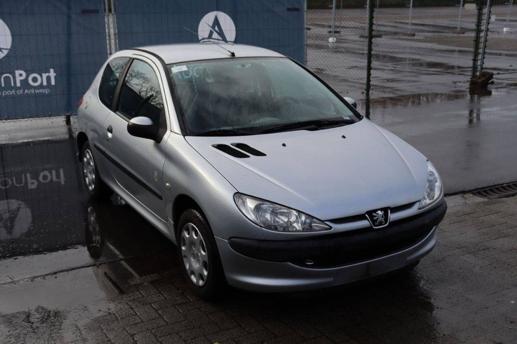 Passenger car Peugeot 206 Petrol 75 hp 2008 (Margin)