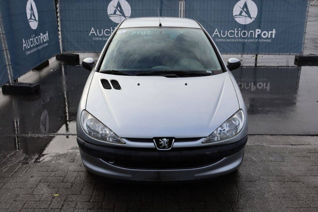 Passenger car Peugeot 206 Petrol 75 hp 2008 (Margin)