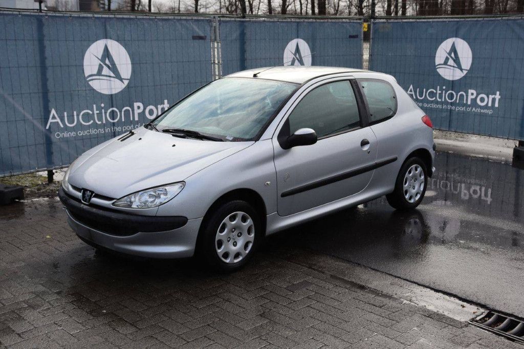 Passenger car Peugeot 206 Petrol 75 hp 2008 (Margin)