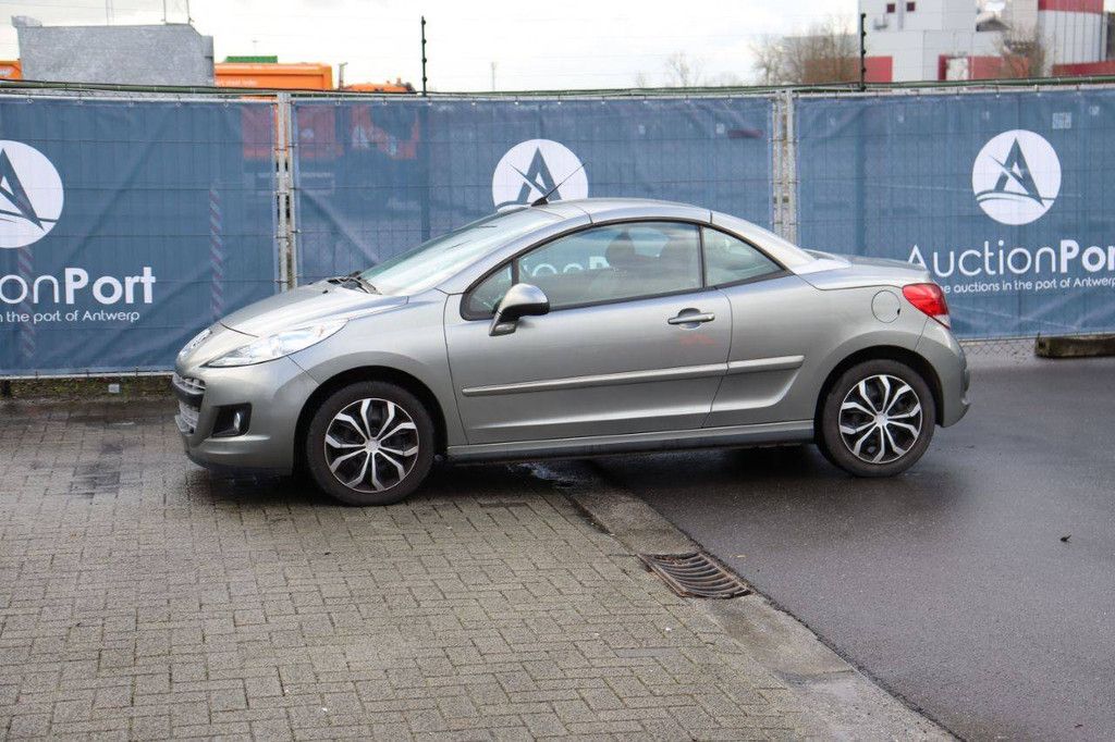 Passenger car Peugeot 207 Petrol 120 hp (Margin)