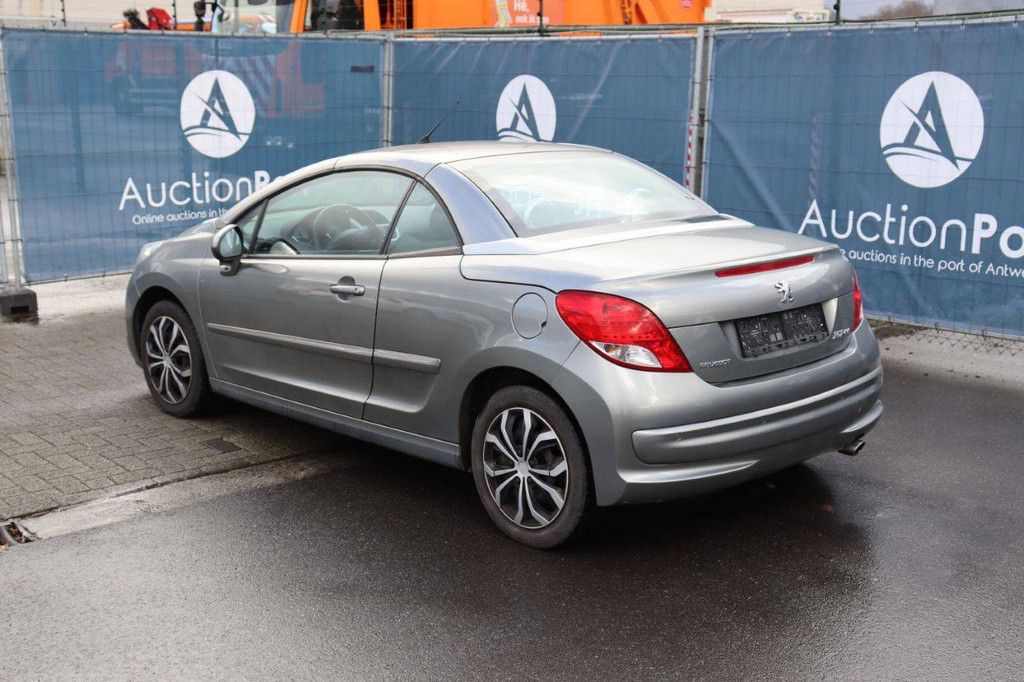 Passenger car Peugeot 207 Petrol 120 hp (Margin)
