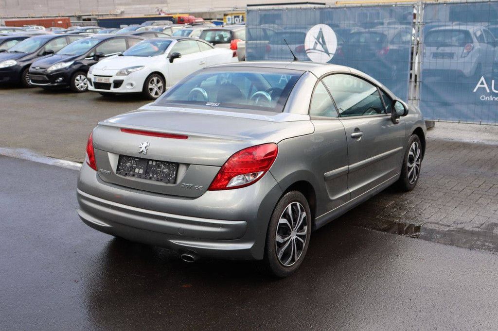 Passenger car Peugeot 207 Petrol 120 hp (Margin)