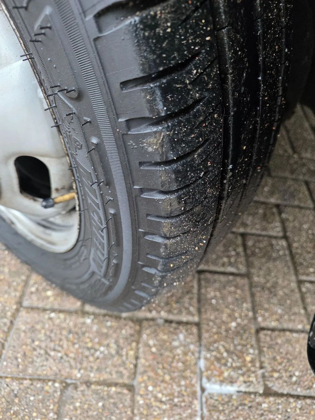 Iveco 10 tons be trekker veldhuizen