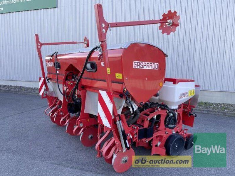 Maschio MTE-R 300 6-REIHIG BB-XL ISOTR