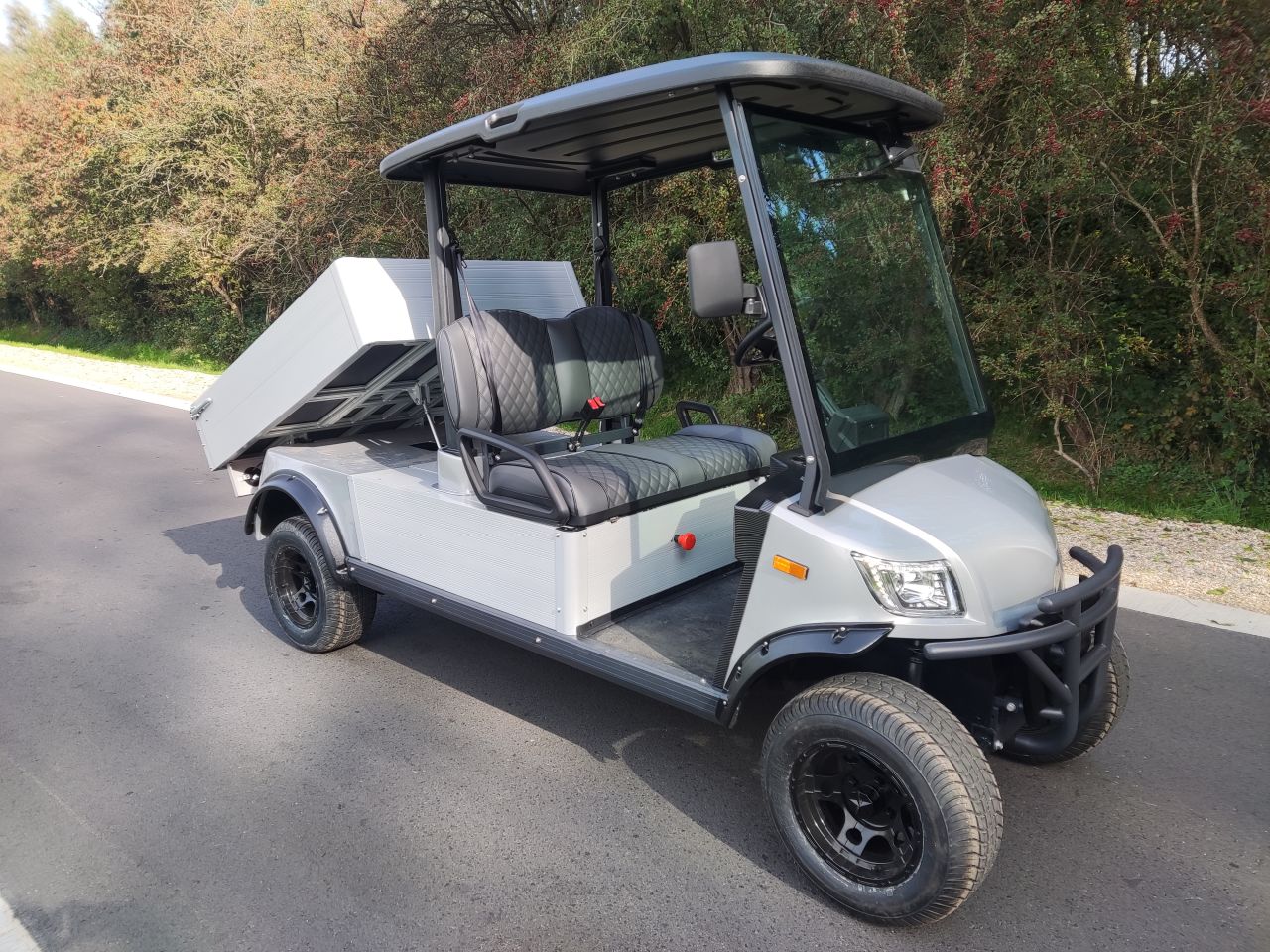 ICOCAR golfcar (type Carrier 3.0, Lithium accu, 500 kg.)