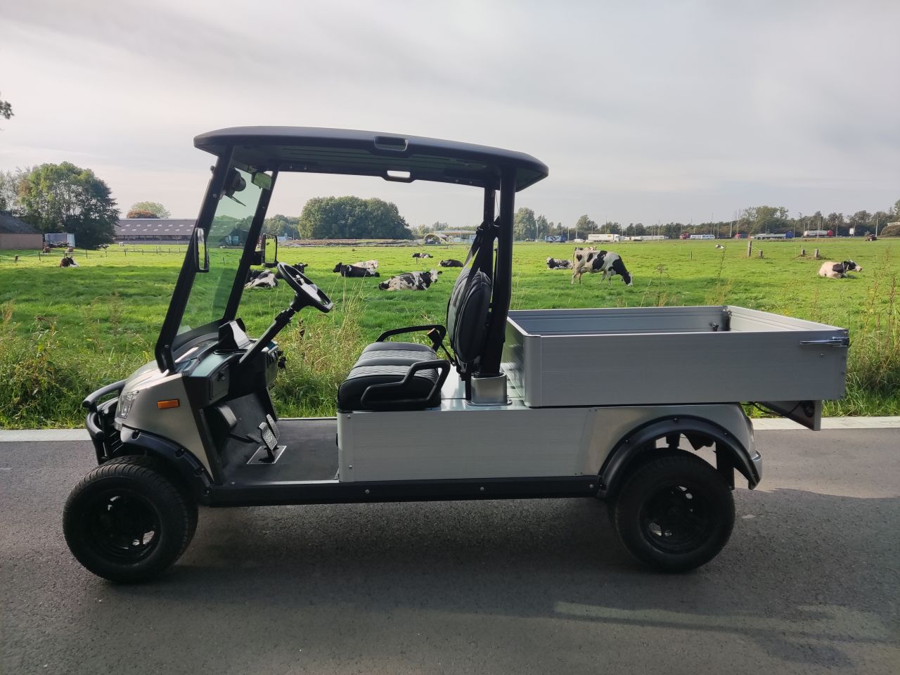 ICOCAR golfcar (type Carrier 3.0, Lithium accu, 500 kg.)