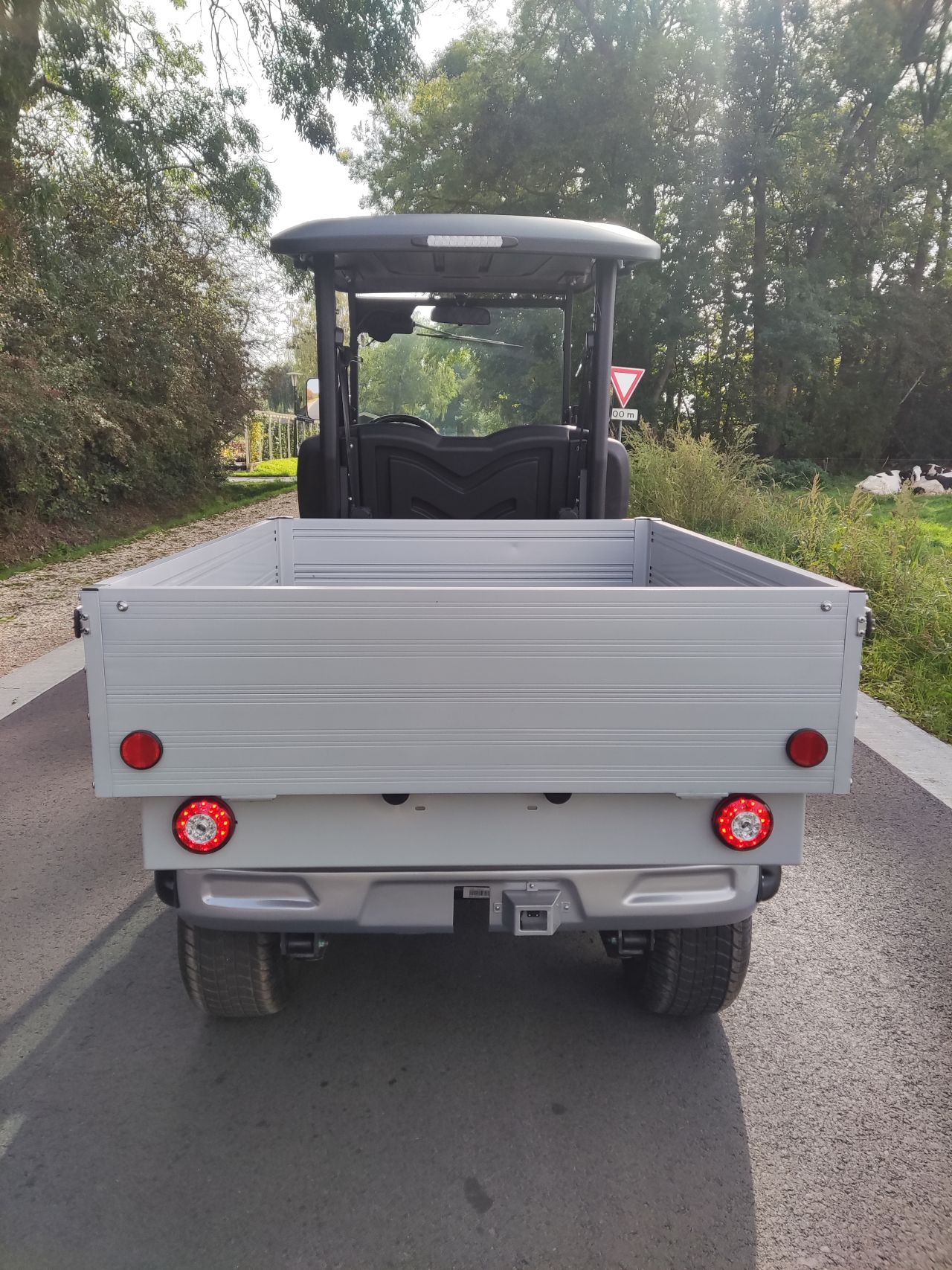 ICOCAR golfcar (type Carrier 3.0, Lithium accu, 500 kg.)