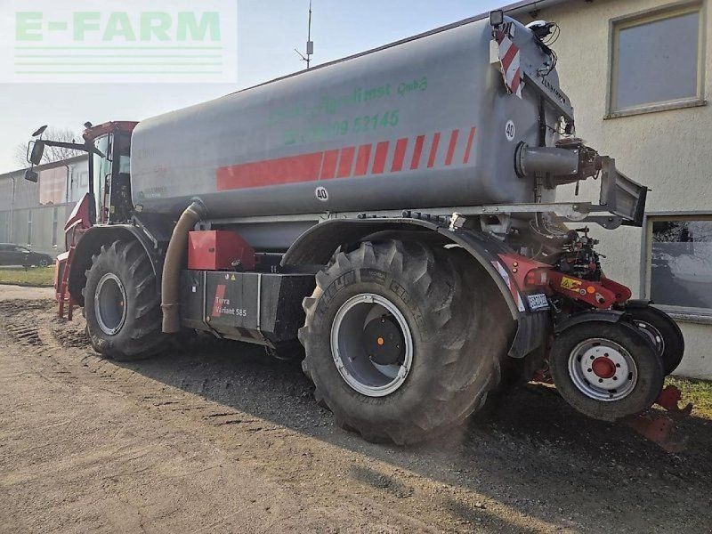 Holmer terra variant 585