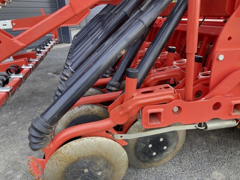 Maschio DM CLASSIC-DAMA COR