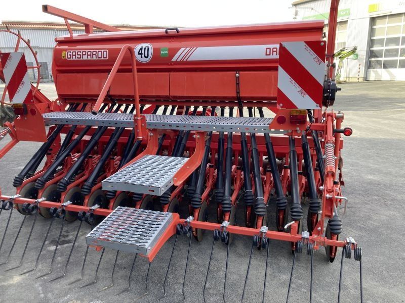 Maschio DM CLASSIC-DAMA COR