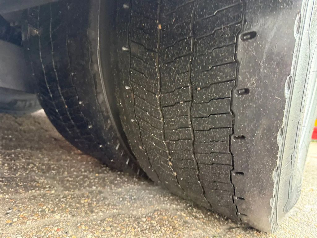 DAF CF 430 13L Frigo AHK Mitsubishi -35 D+E Flowers/Blumen