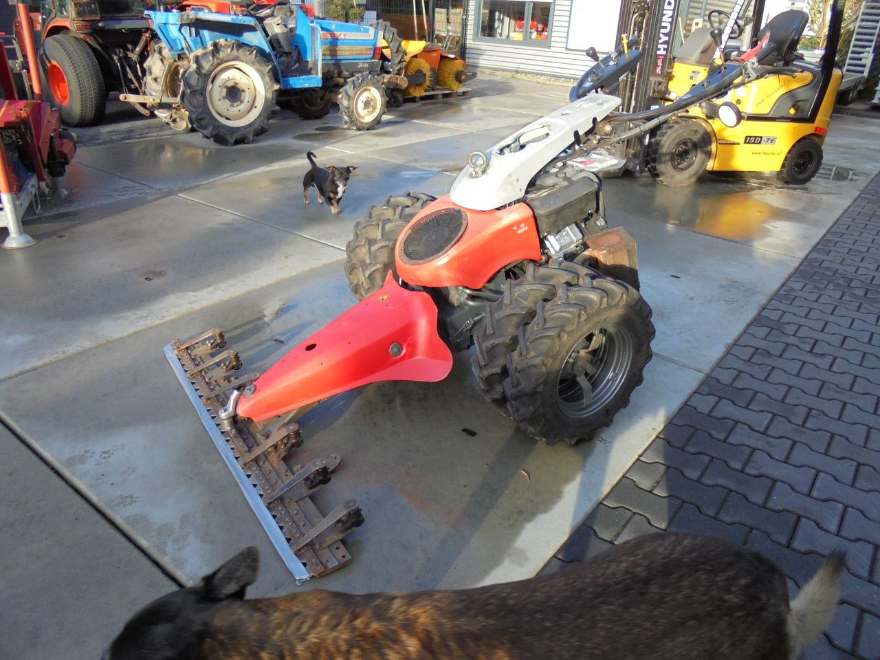 Div,aebi,reform,agria,bucher,rapid,maaibalk,hooibandhark,klepel,