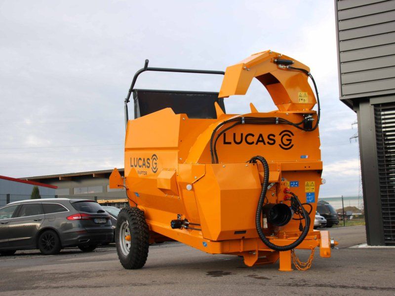 Lucas Raptor Gezogen