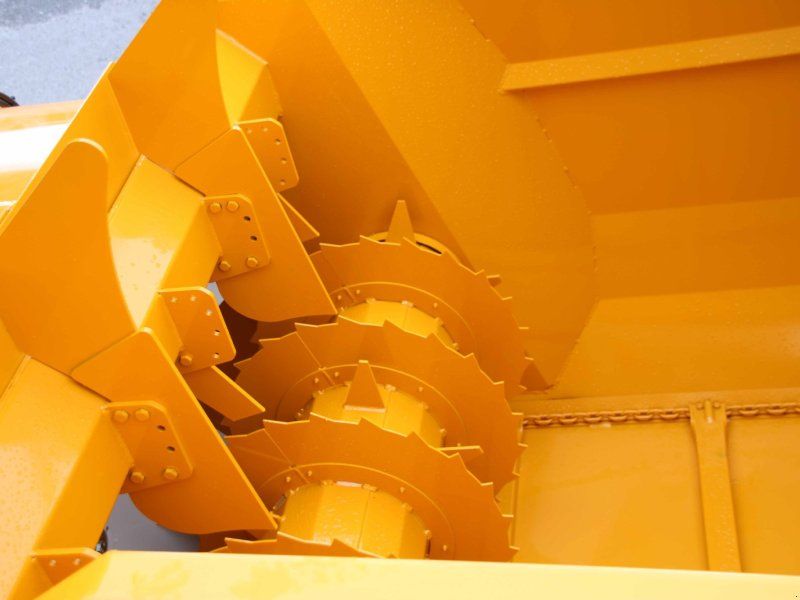 Lucas Raptor Gezogen