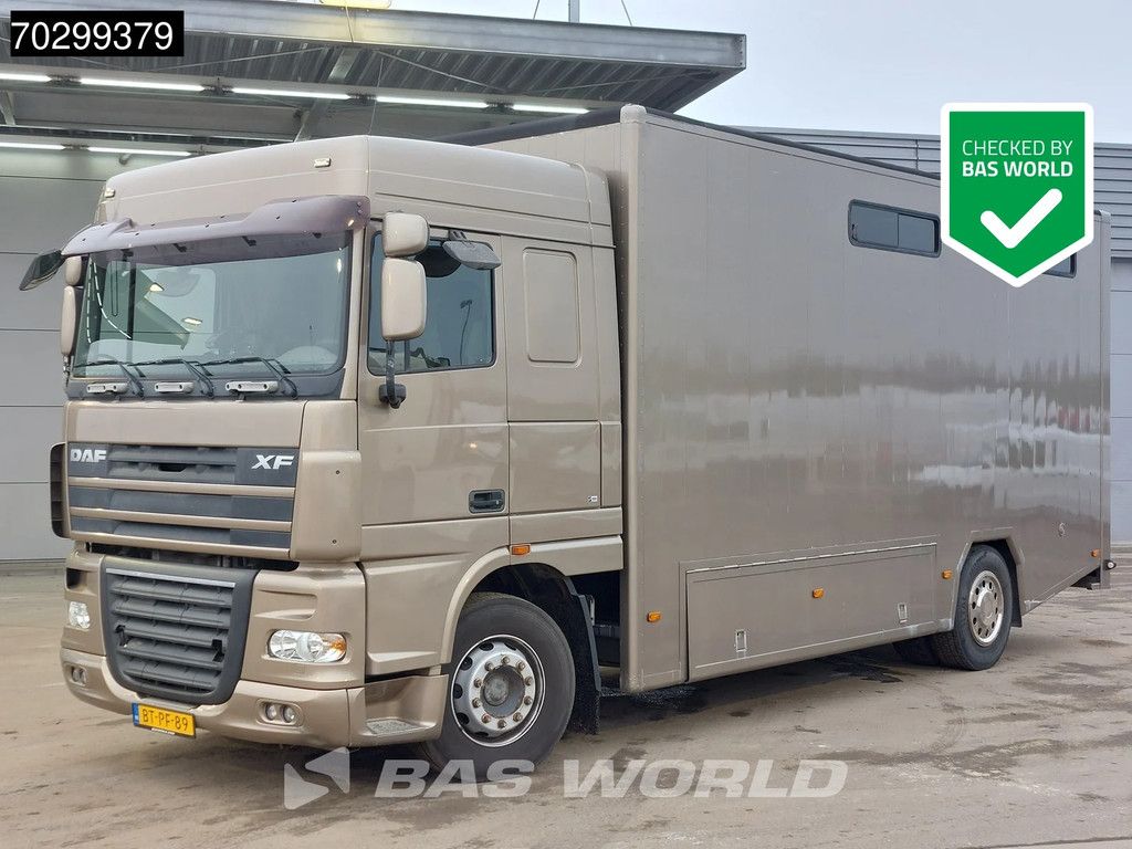 DAF XF XF105.410 4X2 NL-Truck JK Horsetruck 6 Horses Pferdentransport Manual Euro 5