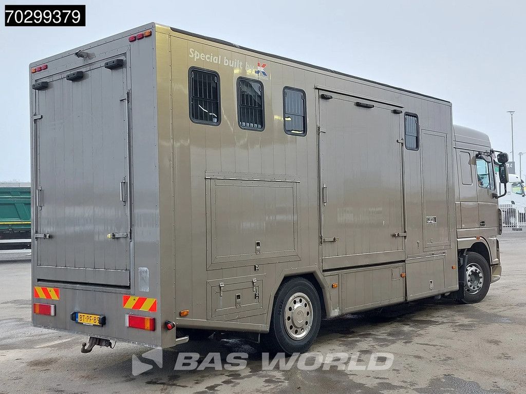 DAF XF XF105.410 4X2 NL-Truck JK Horsetruck 6 Horses Pferdentransport Manual Euro 5