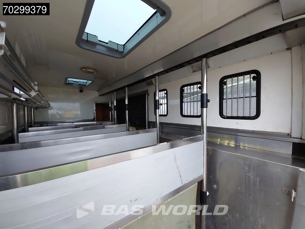 DAF XF XF105.410 4X2 NL-Truck JK Horsetruck 6 Horses Pferdentransport Manual Euro 5