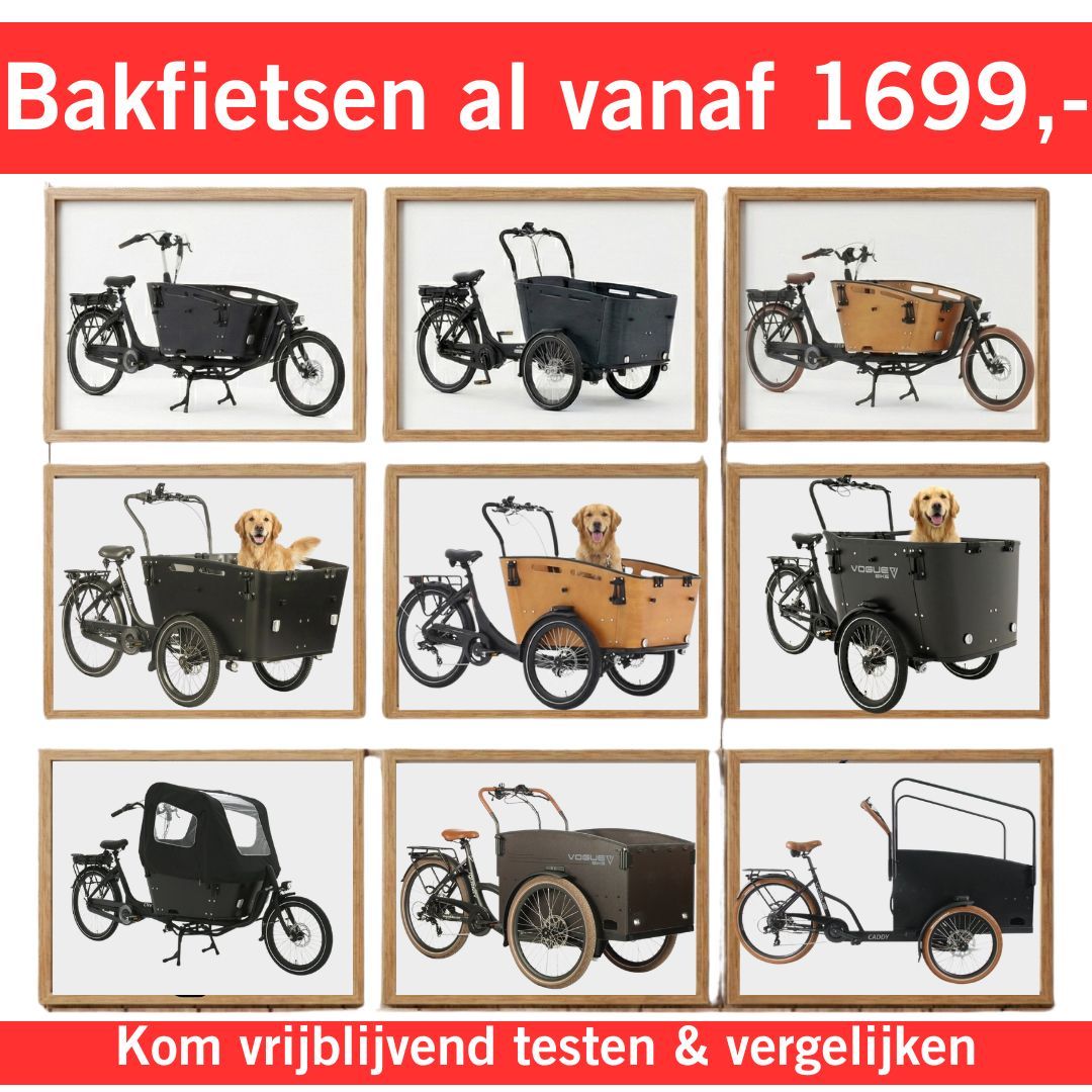 Betaalbare elektrische bakfiets & bakfietsen ideaal voor gezin