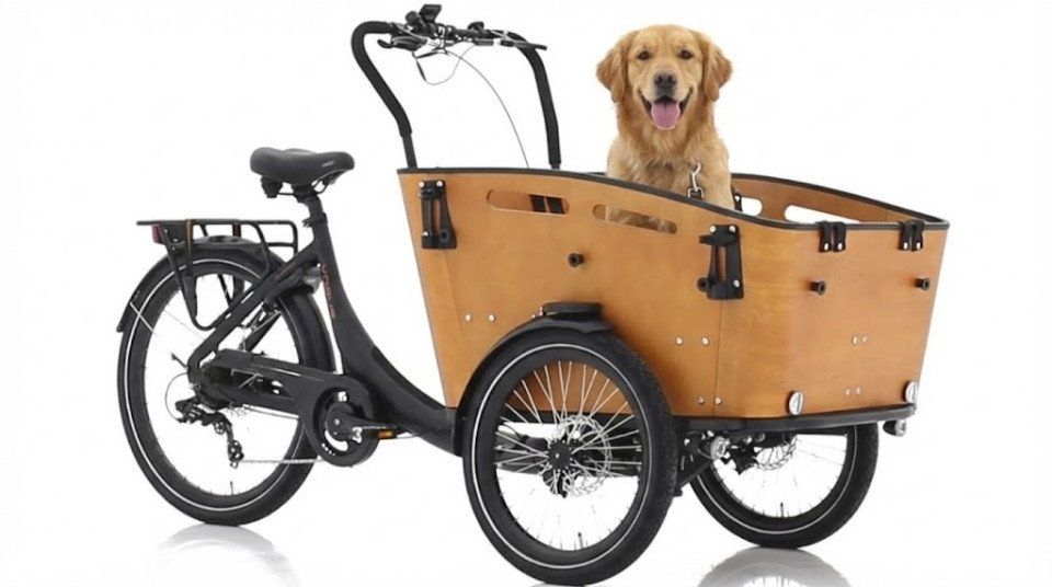 Betaalbare elektrische bakfiets & bakfietsen ideaal voor gezin
