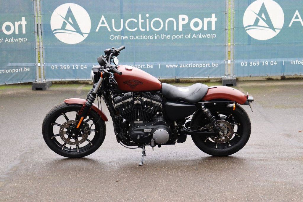 Motorcycle Harley-Davidson XL 883 Iron Petrol 2017