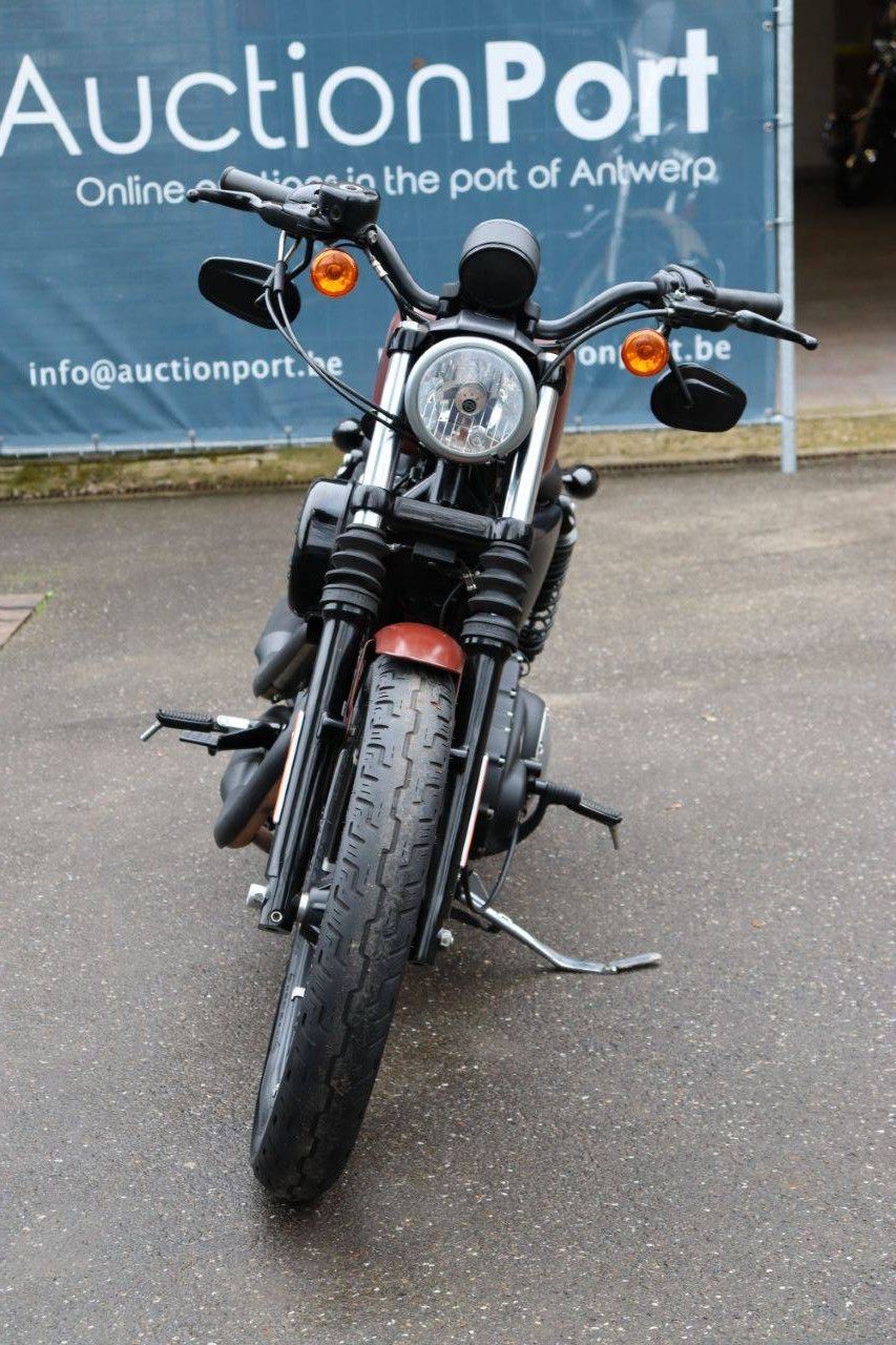 Motorcycle Harley-Davidson XL 883 Iron Petrol 2017