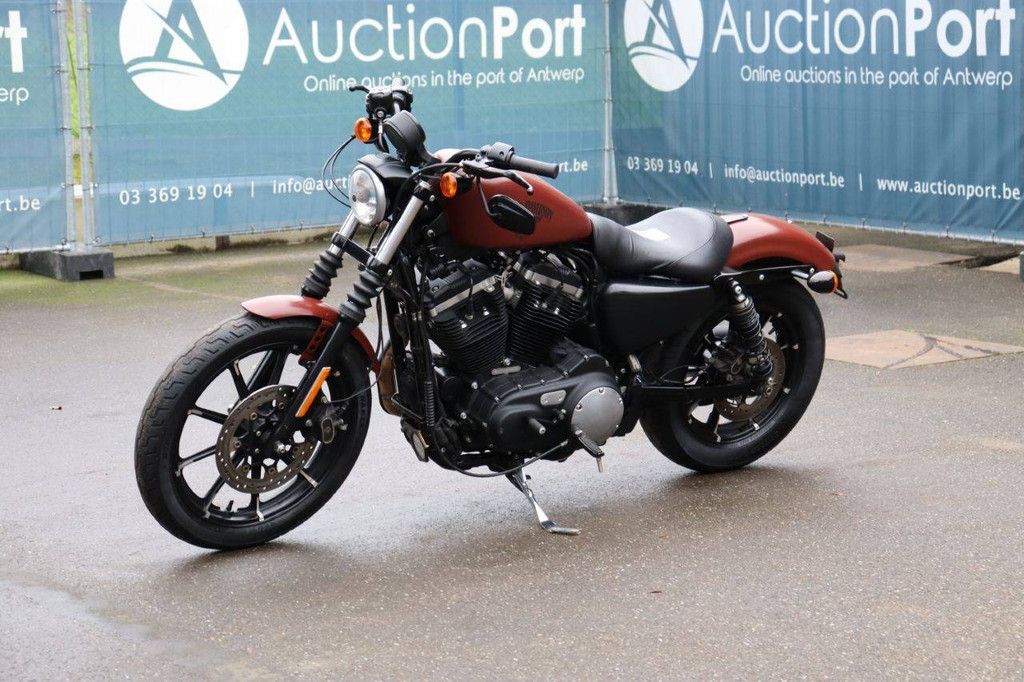 Motorcycle Harley-Davidson XL 883 Iron Petrol 2017