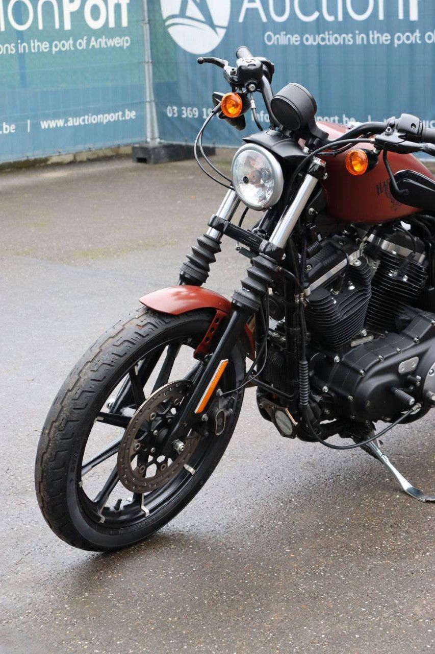 Motorcycle Harley-Davidson XL 883 Iron Petrol 2017