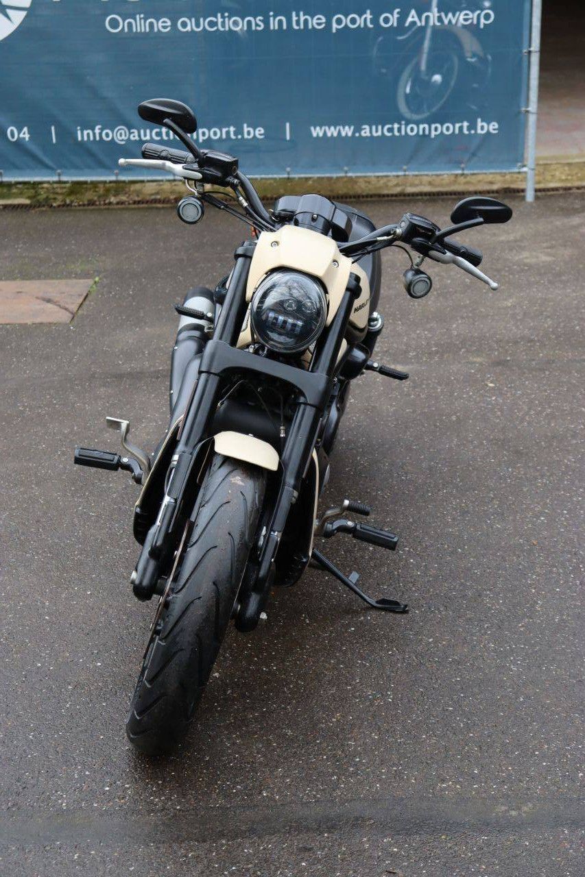 Motorcycle Harley Davidson Night Rod Special Petrol 2014