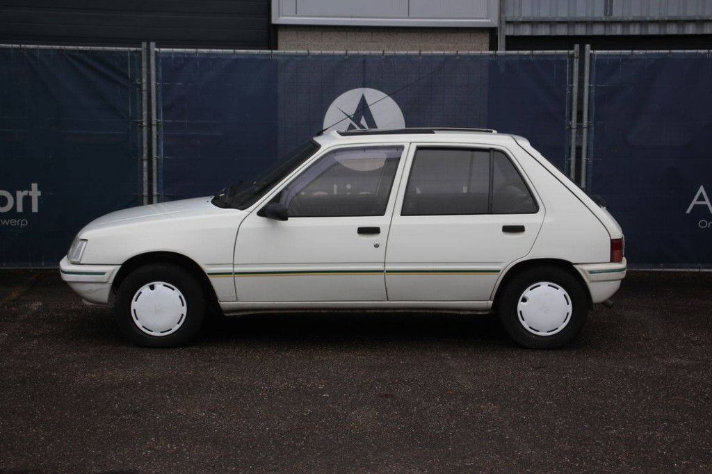 Passenger car Peugeot 205 Petrol