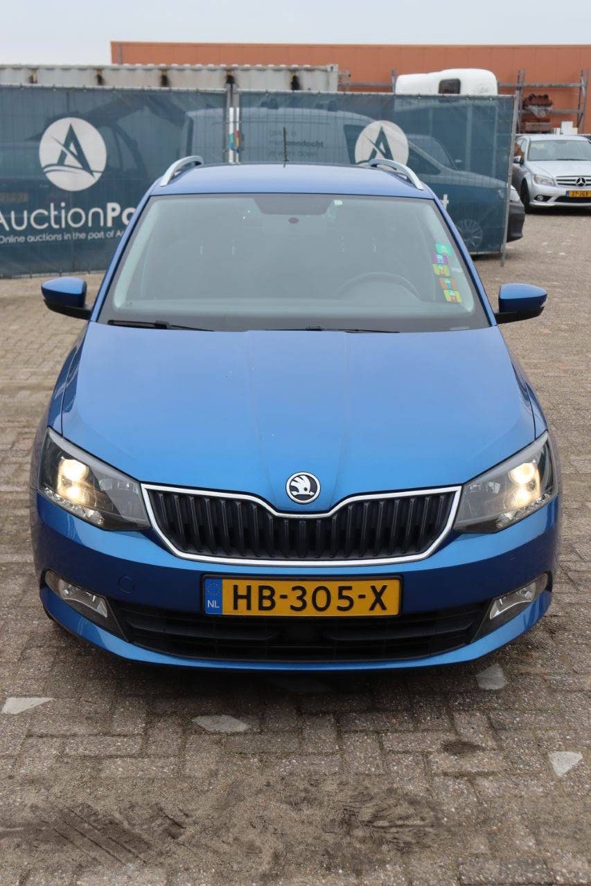 Passenger car Skoda Fabia Petrol 90 hp 2015 (Margin)