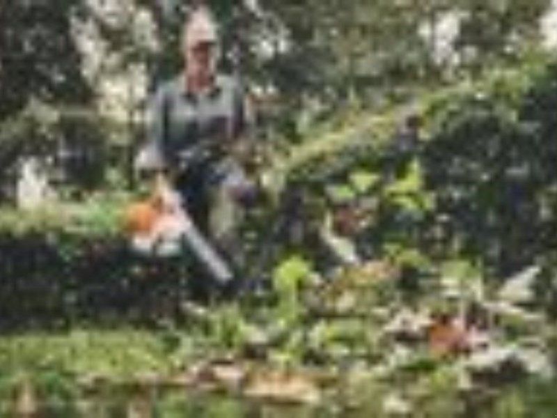 Stihl AKKU BLASGERÄT BGA 250.0