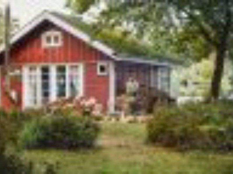 Stihl BENZINMOTORSÄGE MS 162/ 30 cm 61PMM3