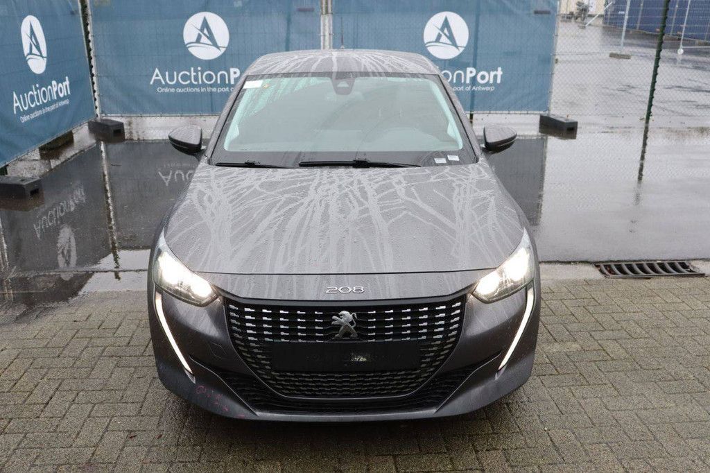 Passenger car Peugeot 208 Petrol 101 hp 2021 (Margin)