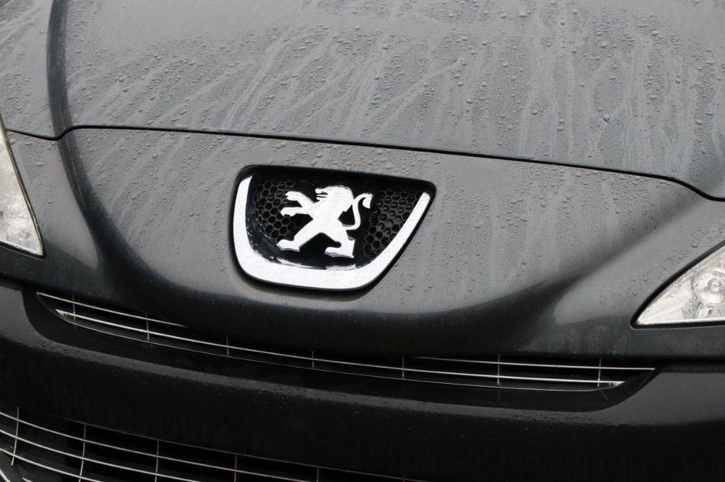 Passenger car Peugeot 308 Petrol 120 hp 2009 (Margin)