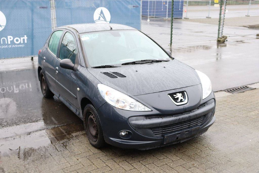Passenger car Peugeot 206 Petrol 60 hp 2009 (Margin)