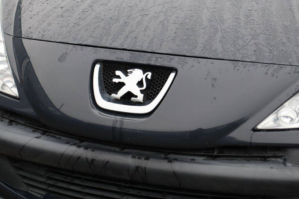 Passenger car Peugeot 206 Petrol 60 hp 2009 (Margin)