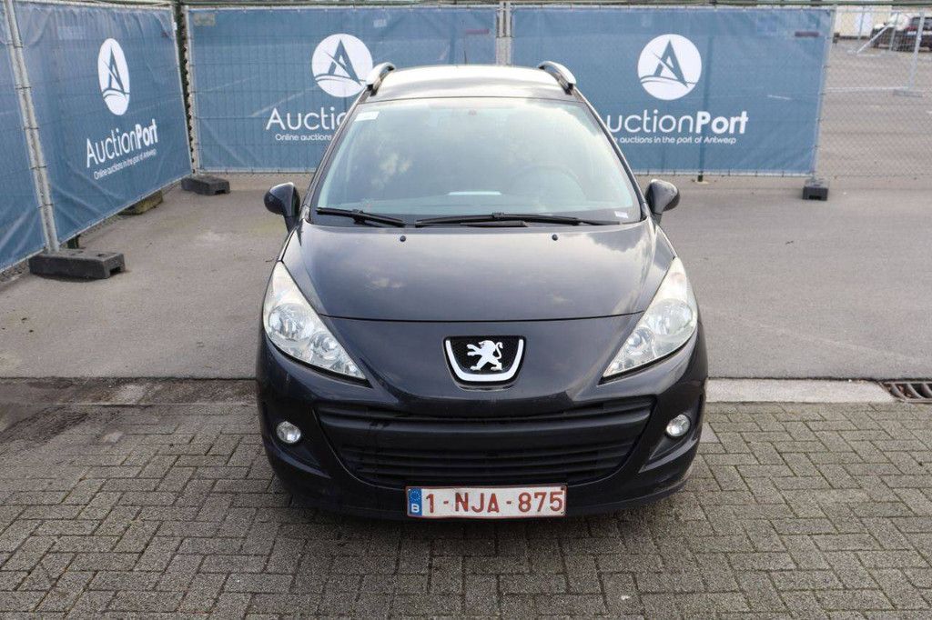 Passenger car Peugeot 207 Petrol 95 hp 2009 (Margin)