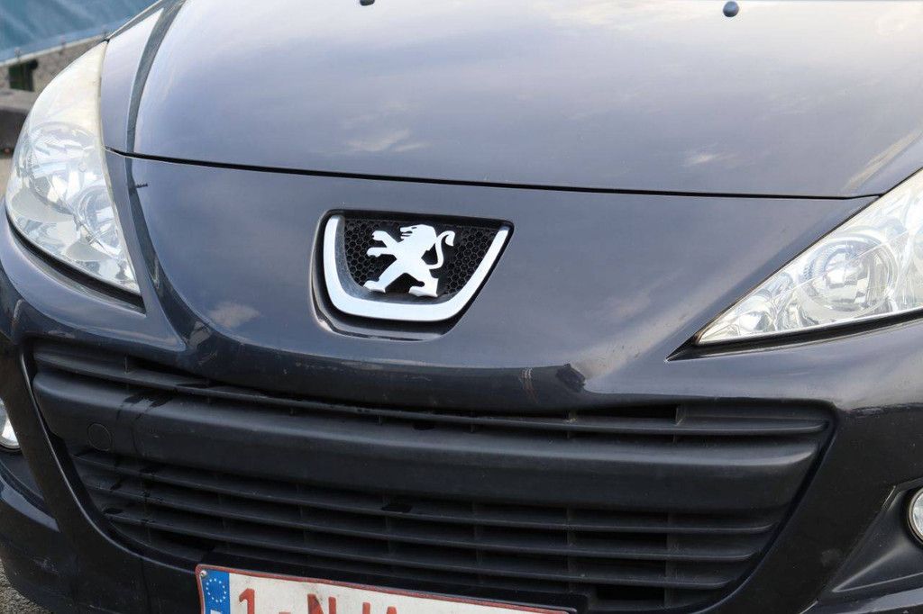 Passenger car Peugeot 207 Petrol 95 hp 2009 (Margin)