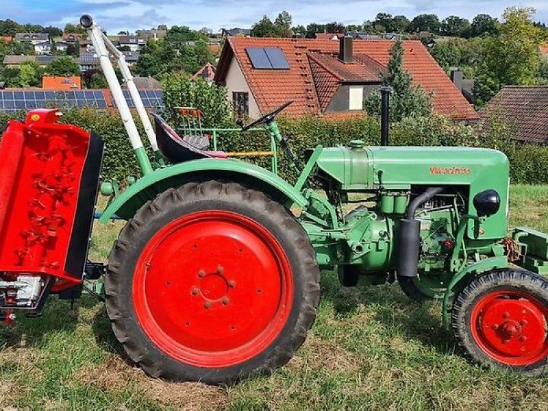 Omarv Böschungs Auslege  Schlegel