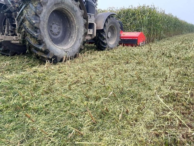 Omarv Cuneo Schlegel   Schlegelmäher
