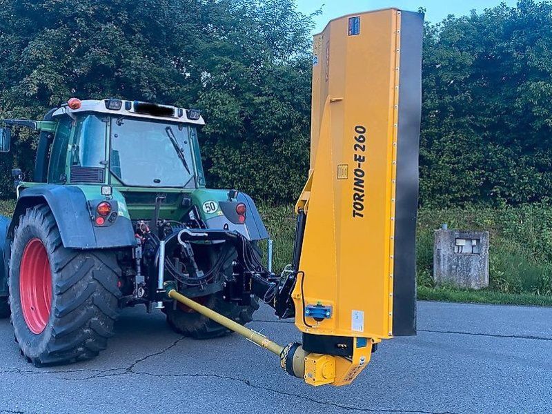 Omarv Seiten Böschungs Schlegel