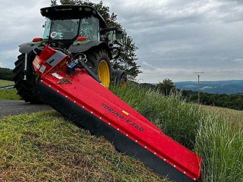 Omarv Böschungs Seiten Schlegel