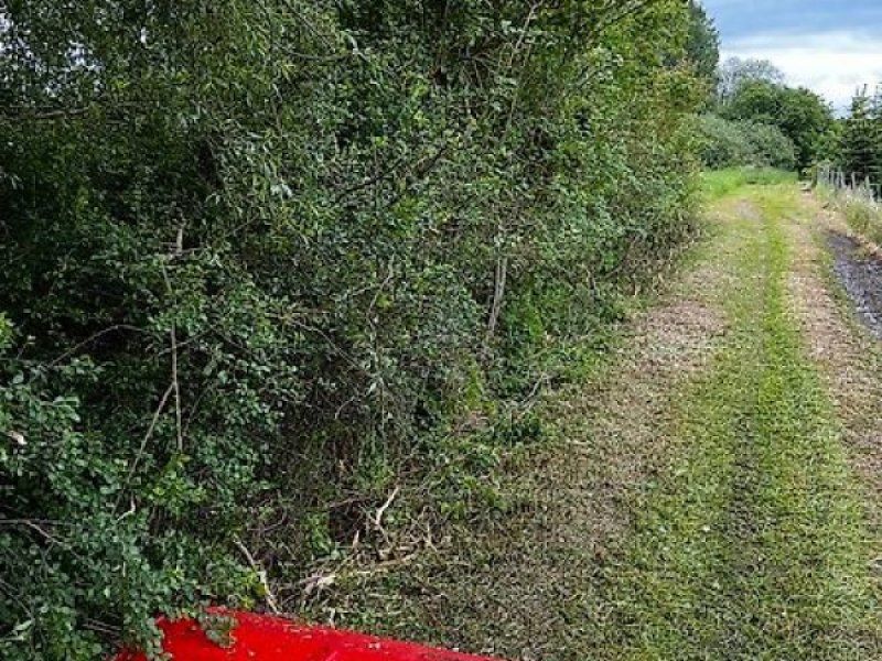 Omarv Böschungs Seiten Schlegel