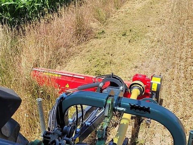 Omarv Böschungs Schlegel Seiten