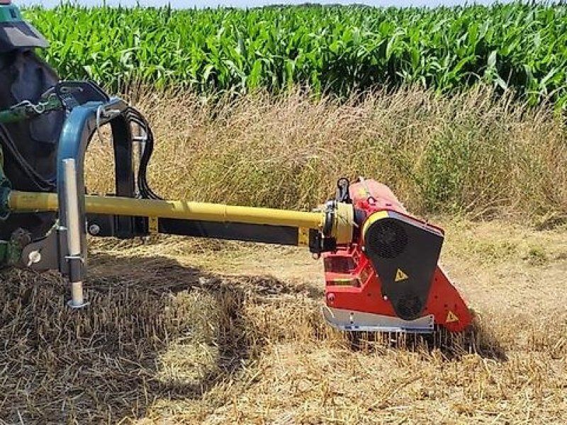 Omarv Böschungs Schlegel Seiten