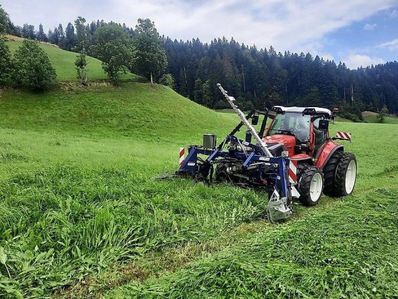 Kersten Dpelmesser Mähwerk Mähbalken Balkenmähwerk Funkraupe