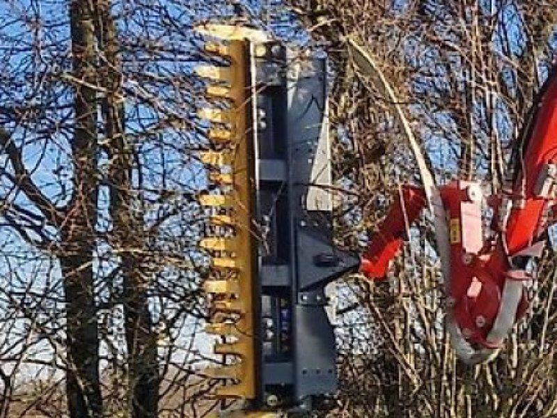 Astschere Heckenschere Baumsäge Baumschere Schere