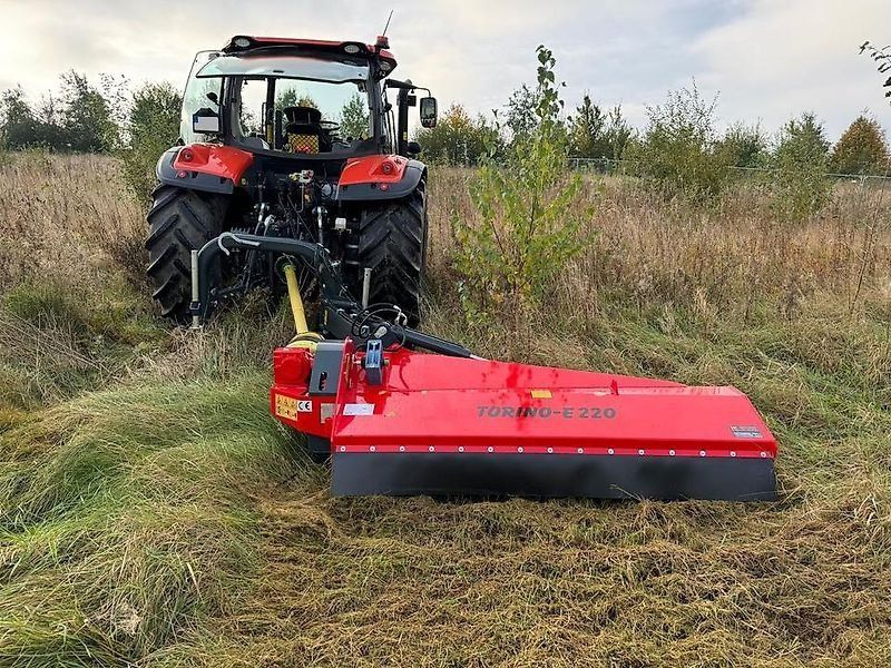 Omarv Böschungs Seiten Schlegel